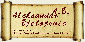 Aleksandar Bjelojević vizit kartica